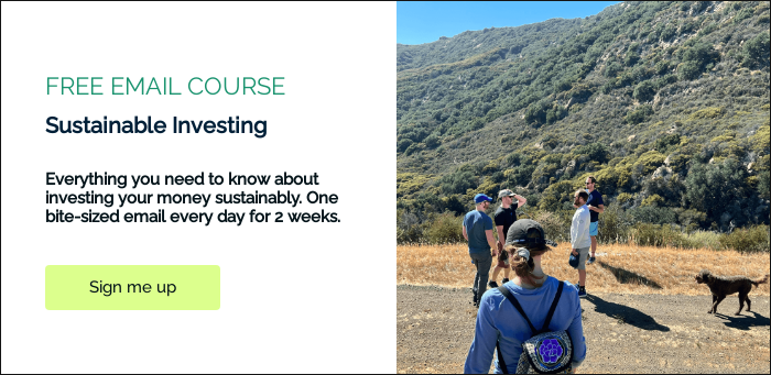 FREE EMAIL COURSE Sustainable Investing   Everything you need to know about investing your money sustainably. One bite-sized email every day for 2 weeks.    
