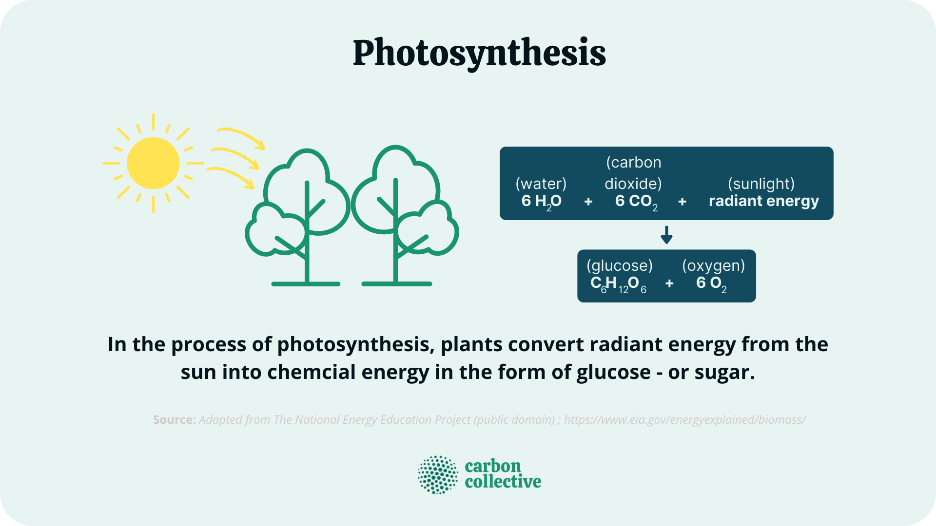 Photosynthesis